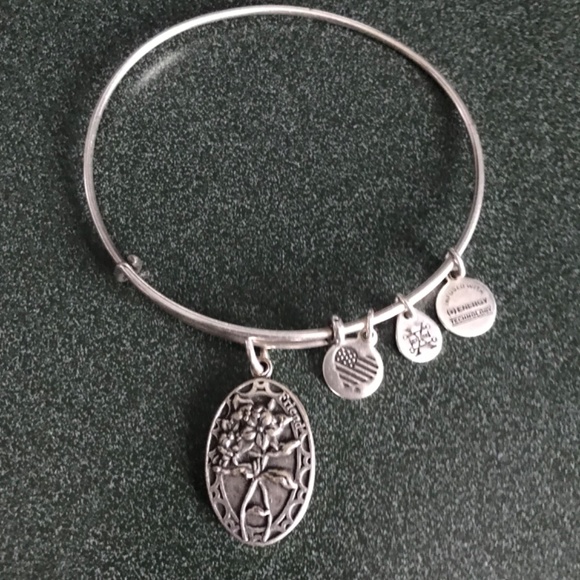 Alex And Ani Expandable Wire Bangle Bracelet Friend Charm 2016 - Picture 2 of 16